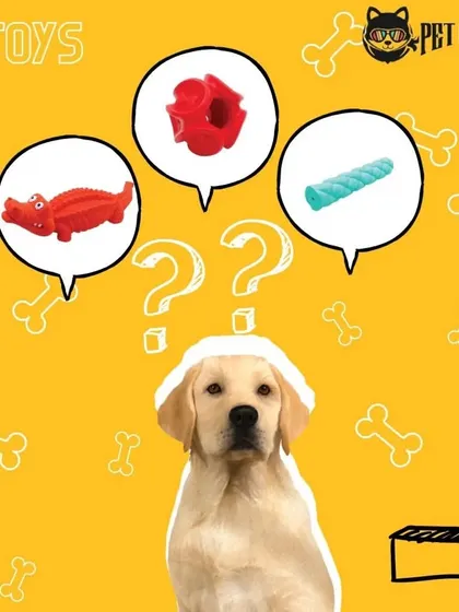 A bored pet is a mischievous pet! Keep them entertained with our selection of durable and engaging toys, designed for chewing, fetching, and puzzle-solving.