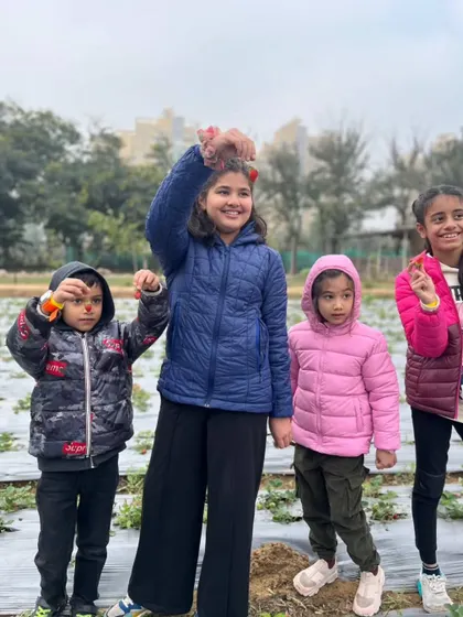 A group of children proudly showing off the fresh strawberries they have just picked from our fields.
