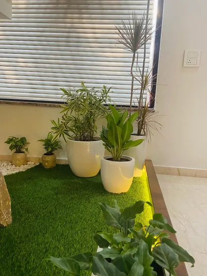 A close-up of the plant selection for the under-staircase garden. We chose a variety of low-light tolerant plants in simple white ceramic pots to create a clean and modern look that complements the home's interior design.