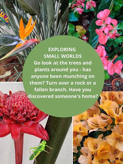 From observing flowers and bugs to playing with our miniature pond, every day is an opportunity to connect with the natural world. These activities are central to our curriculum, encouraging observation and a love for nature.