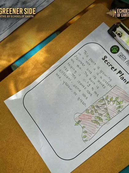 A close-up of a "Secret Plant" activity sheet from our journaling workshop, encouraging kids to look closely and describe what they see.