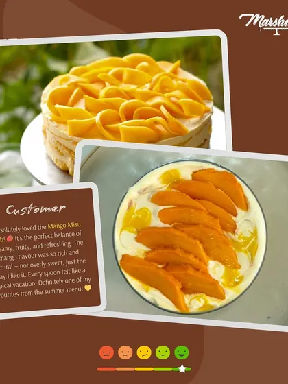 A customer favourite from the summer menu, the Mango Misu Tub. This collage shows the beautiful mango rose on top and a glowing review about its refreshing and natural flavour.