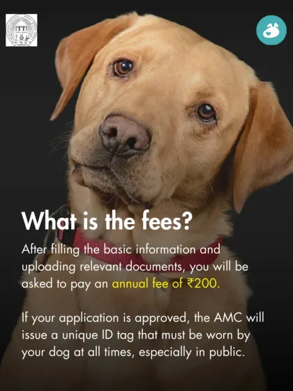 We explain the costs involved in pet registration, including the annual fee of ₹200 and the issuance of a unique ID tag that must be worn by the dog in public.