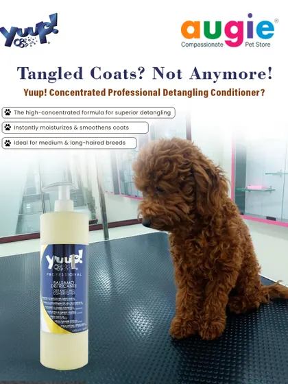 Tangled coats? Not anymore! We use Yuup! Concentrated Professional Detangling Conditioner. Its high-concentration formula instantly moisturizes and smoothens coats, making it ideal for medium and long-haired breeds.