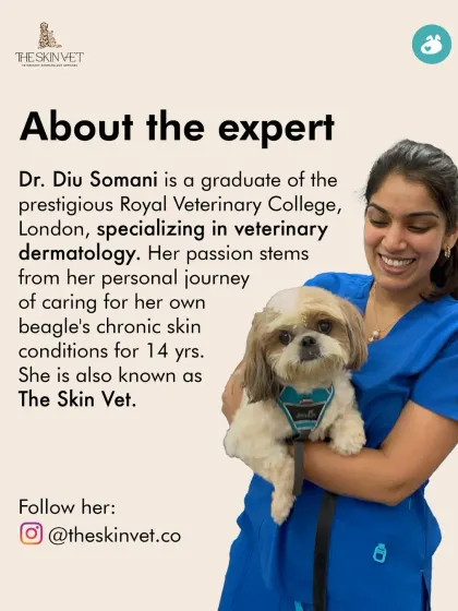 Meet Dr. Diu Somani, also known as The Skin Vet. A graduate of the Royal Veterinary College, London, she specializes in veterinary dermatology and leads our classes on skin health, sharing her deep expertise with pet parents.
