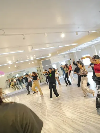 A shot from behind the instructor during Mekhola Bose's waacking workshop.