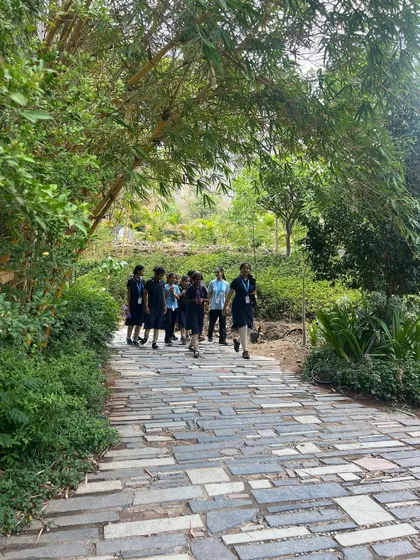A landscape is truly successful when people use and enjoy it. Here, students at Avasara Academy walk along a stone pathway shaded by bamboo, fully immersed in the natural environment we created for their campus.