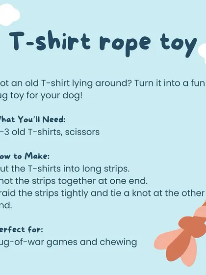 Have an old t-shirt? Don't throw it away. You can easily turn it into a durable tug rope toy for your dog. It's perfect for games of tug-of-war and satisfies their need to chew.