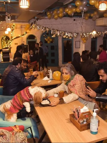 The party is always on at Bark Street! This is a snapshot from one of our bustling celebration nights, filled with happy people, playful pups, and an electric atmosphere. We love hosting events that bring our whole community together.