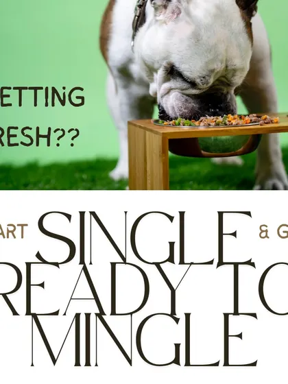 Getting fresh? Start single and get ready to mingle. Introducing one protein at a time is the best way to transition to a fresh diet and spot any food sensitivities.