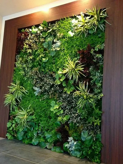 A framed vertical garden installed as a feature wall. The dark wood frame provides a sharp, clean border, making the vibrant green plants stand out.