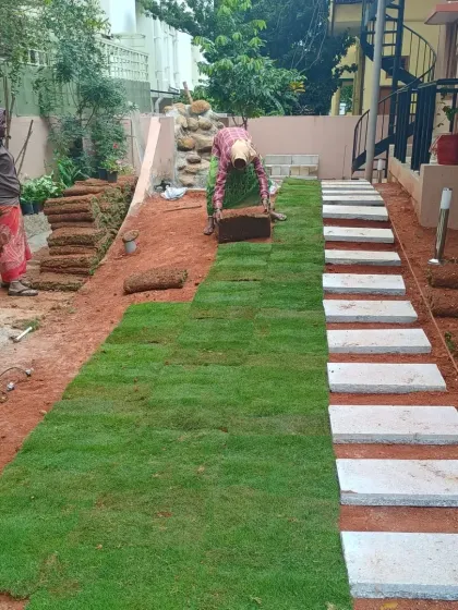 Here, my team is carefully laying down sections of natural grass sod next to the newly installed stepping stone path.