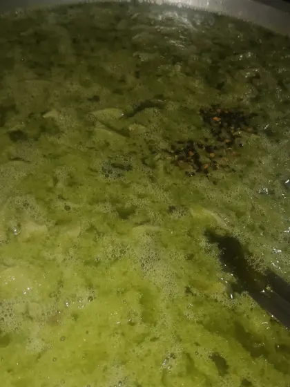 The herbal juice is being prepared for our hair care oil. You can see the rich green color from all the fresh leaves like Kayyunni and Keezharnelli. This is the base that gets slow-cooked with coconut oil.