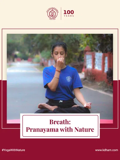 Practicing pranayama in a natural setting enhances the connection to prana, the universal life force. We encourage students to take their practice outdoors to experience the grounding and refreshing effects of nature.