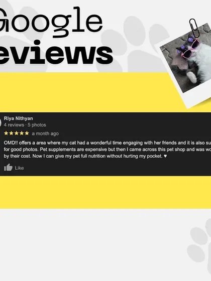 It makes me so happy to read that this customer's cat had a wonderful time in our store and that they were pleased with our affordable pet supplements.