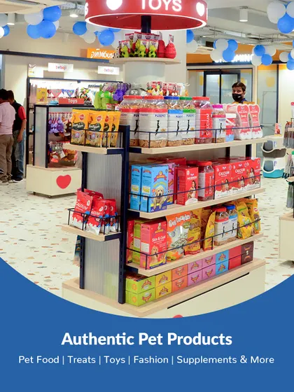 A promotional graphic announcing the grand opening of our Ahmedabad stores, highlighting the comprehensive services available.