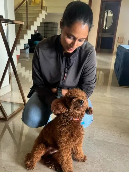 Meet Cookie, a one-year-old Miniature Poodle. It's a joy to work with new students, and I'm excited to see her personality shine through as we begin our training journey.