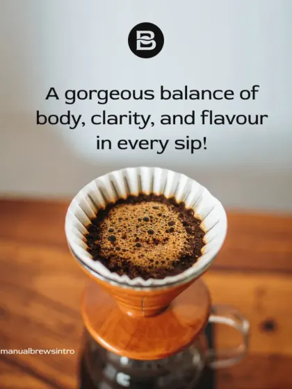 The result of a well-executed pour-over: a gorgeous coffee bed, indicating even extraction. This leads to a cup with a beautiful balance of body, clarity, and flavor.