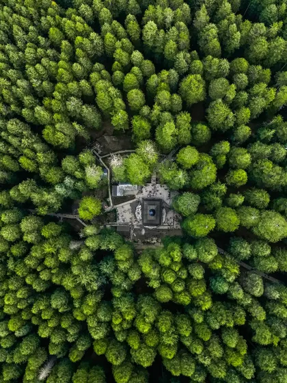 Hidden within a dense deodar forest in Manali, the Hadimba Devi Temple is a sight to behold from above. This aerial photograph shows the temple's unique pagoda-style roof emerging from the lush green canopy, a sanctuary nestled in nature.