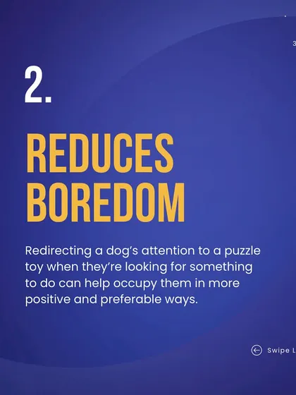 Did you know that dog puzzles offer numerous benefits? They provide mental stimulation, reduce boredom, help calm anxious dogs, slow down fast eaters, and build confidence. I incorporate puzzles into many of my training plans.