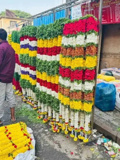 Here you can see the scale of my flower operations. I stock large quantities of fresh, colorful garlands daily to ensure I can meet the needs for any event, big or small, in and around Bengaluru.