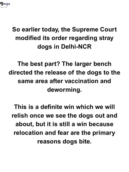 We analyze the best part of the modified SC ruling: the direction to release dogs in the same area after care, which prevents the trauma of relocation. A definite win to be celebrated.