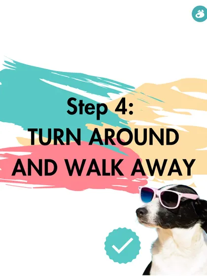 Step 4: Turn around and walk away. The message becomes clearer: just don't do it.