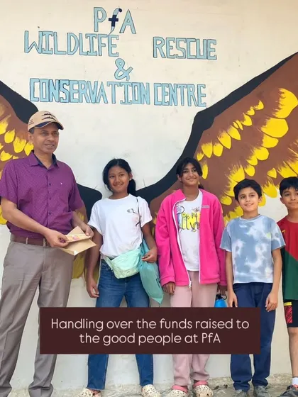 A proud moment as our children hand over the funds they raised to the team at the PfA Wildlife Rescue & Conservation Centre. They learn that their actions can make a tangible difference.