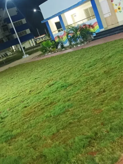 The "after" shot at night. A fresh, green lawn is ready for the kids to enjoy, completely transforming the school's entrance.