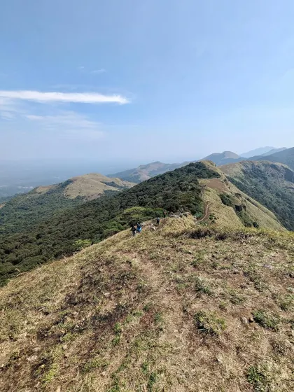 The trail of Nishani Motte, one of the lesser known but equally beautiful treks in Coorg. We love exploring these hidden gems with our groups.