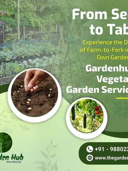 Experience the delight of farm-to-fork in your own garden. Our vegetable garden services cover everything from seed sowing to plant care, making it easy for you to get started.