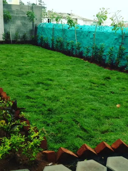 This garden features a neat lawn bordered by red bricks and a variety of plants against a green screen fence for privacy.