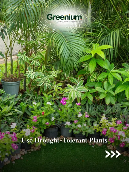 For a low-maintenance garden with real plants, I suggest using drought-tolerant varieties. This image shows a beautiful arrangement of potted plants that require less water and care.