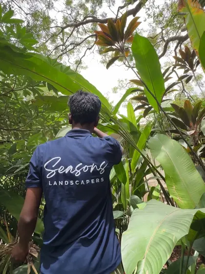 A member of my team, surrounded by lush foliage, represents the hands that nurture every space we touch. I am grateful for the dedication and craft of every person in the Seasons family.