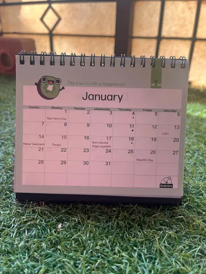 Another shot of the sold-out 2024 calendar, showing the January page on a patch of grass.