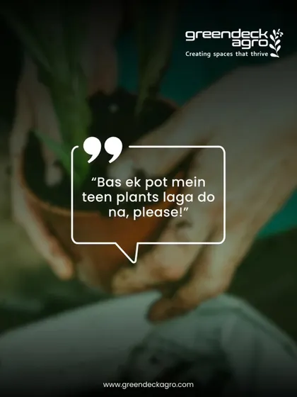 Putting too many plants in one pot can lead to competition and poor growth. We advise on proper planting techniques to ensure every plant has the space it needs.