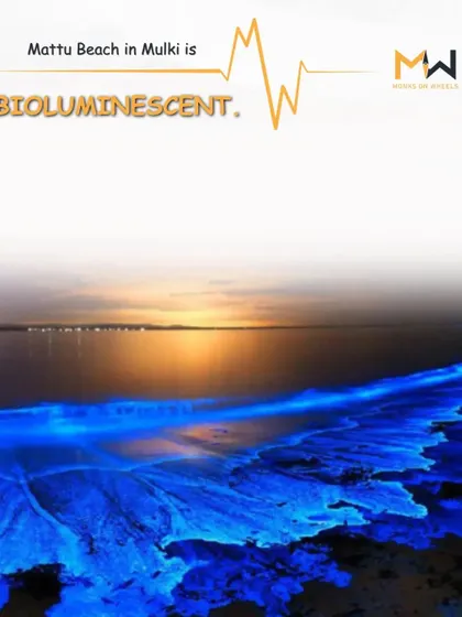 An image highlighting the magical bioluminescent waves at Mattu Beach in Mulki, a natural wonder that I include in my coastal tours.