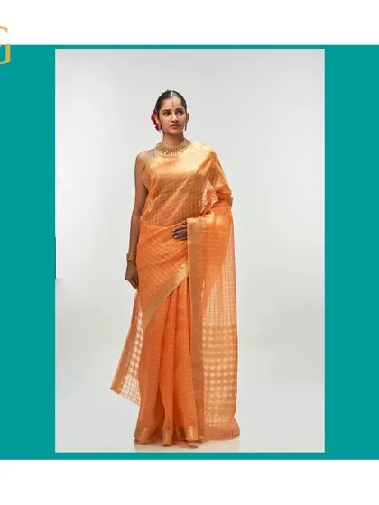 A full-length view of the orange iced tea saree, a perfect blend of traditional craft and modern color.