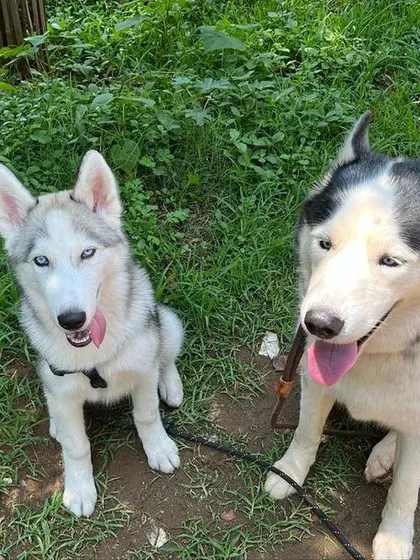 One more shot of these two pals sitting together. It was great seeing them become such good friends during the stay.