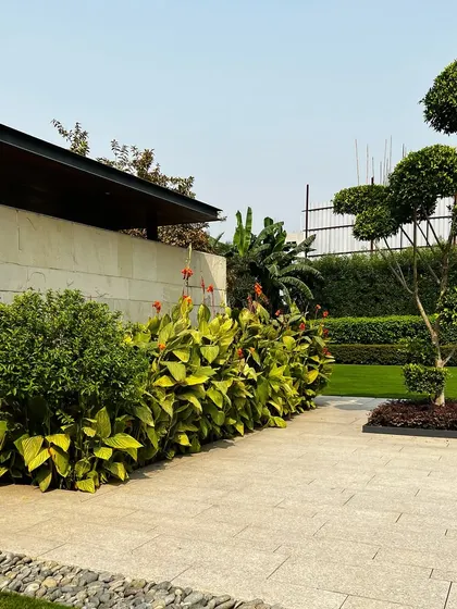 The same view, showing the contrast between the manicured topiary and the more wild look of the flowering lilies.