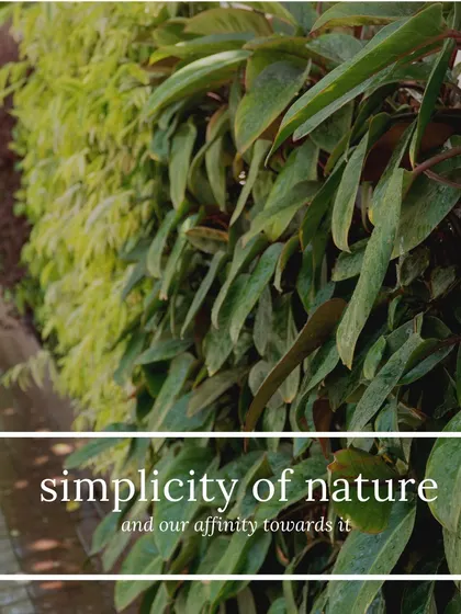 We believe in the simple, profound beauty of nature. This close-up of an outdoor vertical garden highlights the rich textures and forms of the plants, including Ferns, Syngonium, and Rhoeo, that make up our living installations.