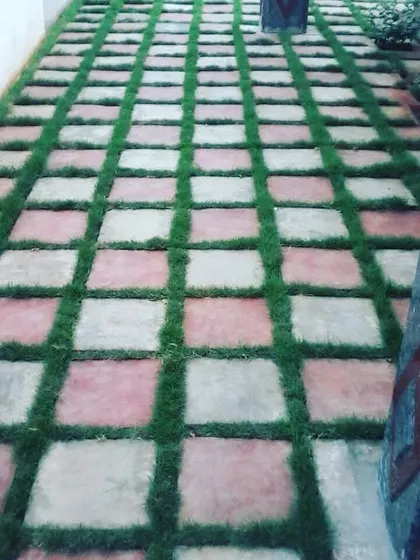 A pathway made of pink and grey stone pavers with grass in between. This adds a unique pattern and a pop of color to the garden design.