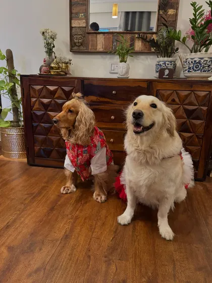 Posto and Paro looking regal in their Durga Puja outfits.