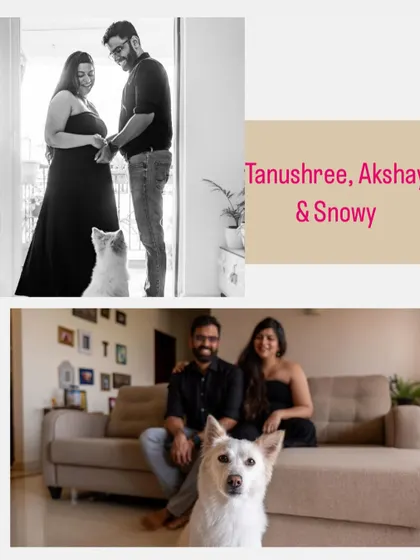 A collage from a maternity shoot, featuring the parents-to-be and their adorable dog, Snowy.