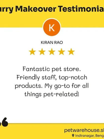 A freshly groomed dog waits patiently for its owner. Our grooming services can make a huge difference, leaving your pet's coat shinier, healthier, and happier than ever.