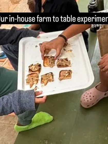 A collection of moments from our various hands-on science activities, showing children deeply engaged in learning through doing.