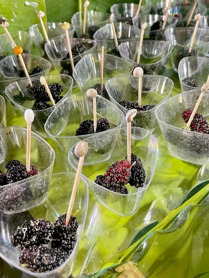 Fresh mulberries served in individual cups, offering a sweet and tangy bite-sized treat.
