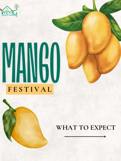 An event graphic showing what to expect at the Mango Festival. I make sure to communicate all the fun activities, from games to workshops, so guests know what they're in for.