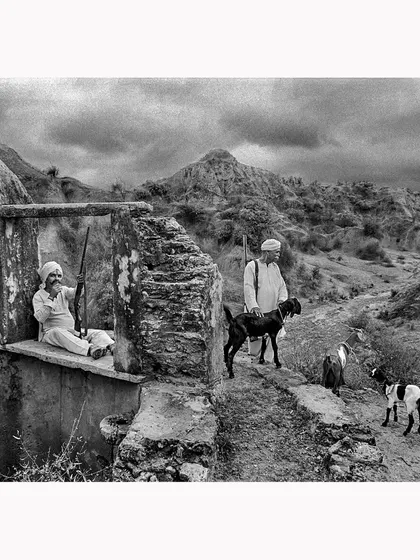 A scene from rural Rajasthan, showing goatherds in a rugged, ancient landscape. The high-contrast black and white treatment brings out the texture of the stone and the stark reality of their daily life. This is a documentary print that tells a story of resilience and tradition.