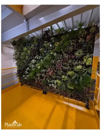 This wide shot showcases the scale of our vertical garden capabilities. We can cover large surfaces to create maximum visual and environmental impact for corporate and commercial clients.